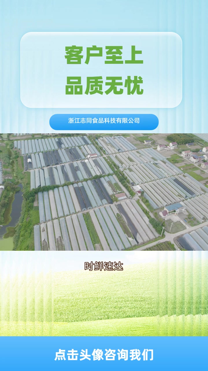 衢州“去皮新技能,秒变厨房达人!” 速达时鲜,品质美味双保障