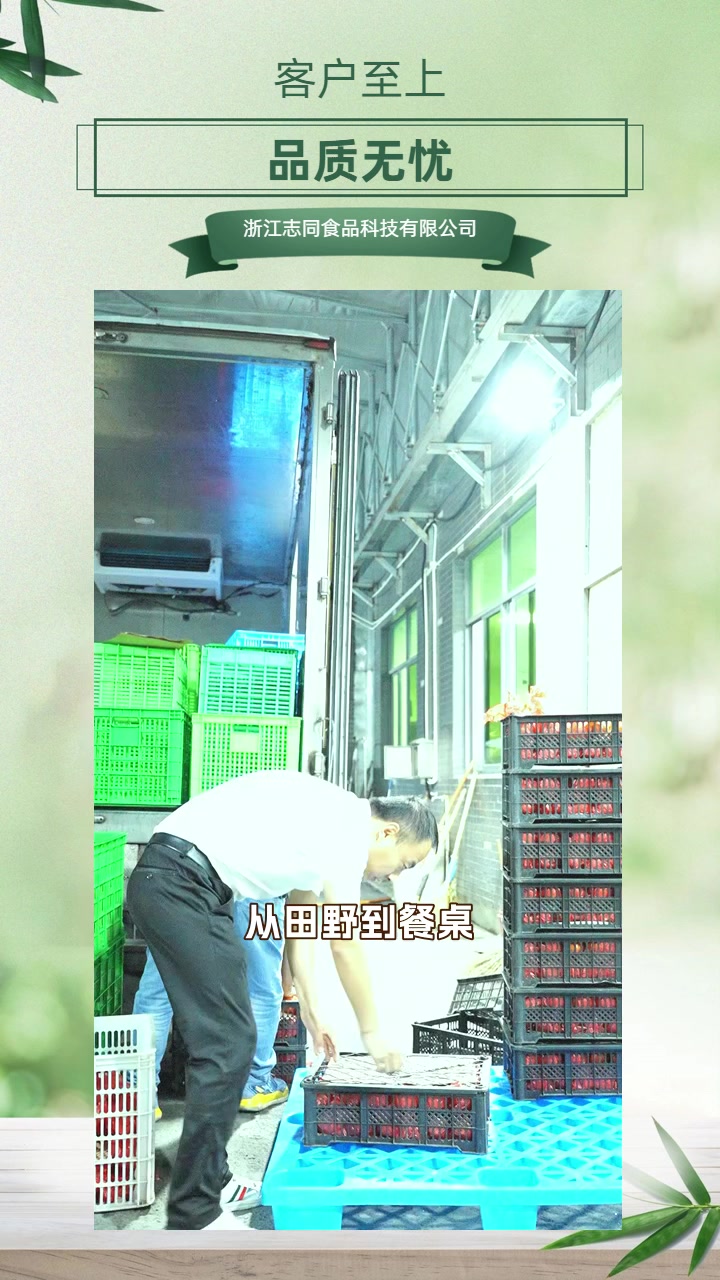 温州“告别黄叶,迎接翠绿蔬菜新风貌!” 速递时鲜,品质生活首
