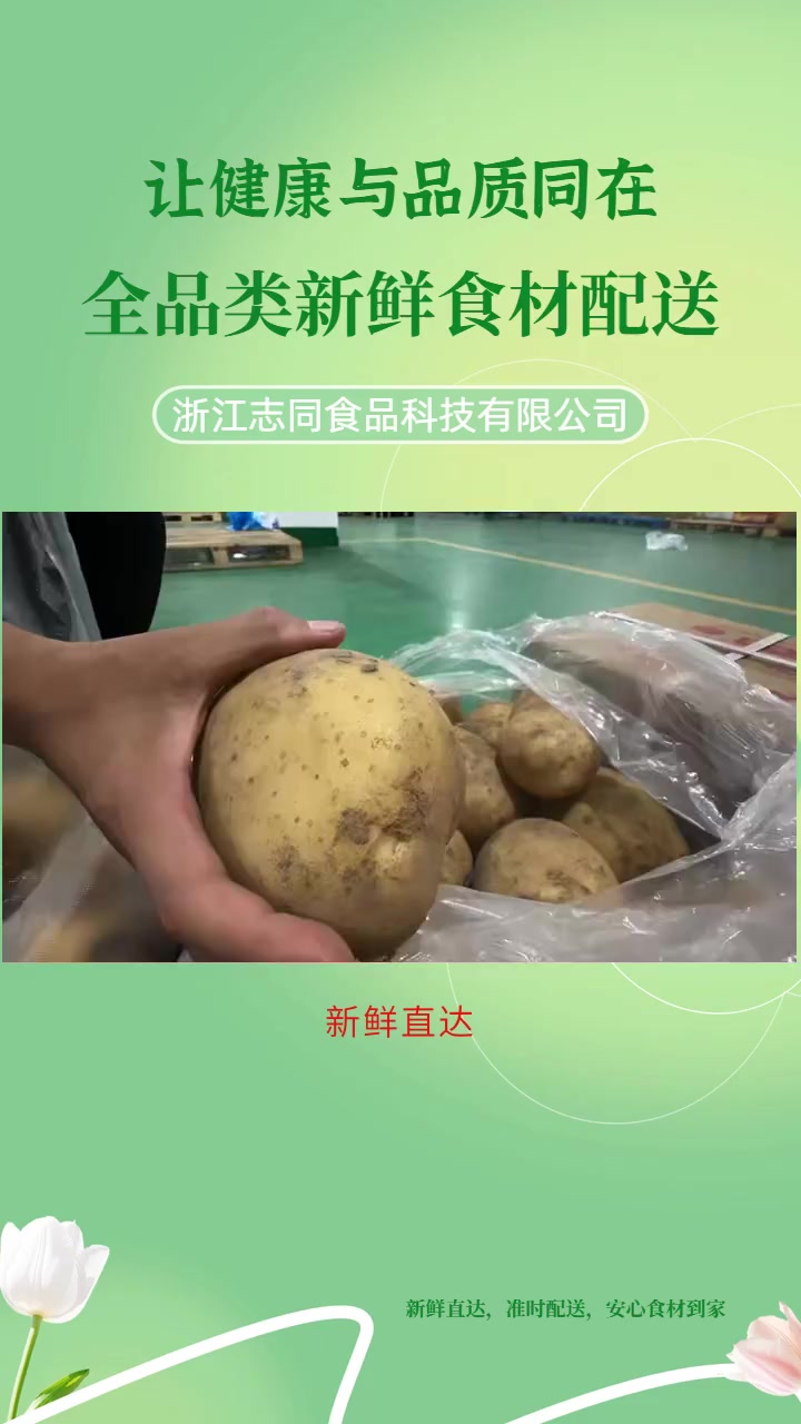 舟山“新鲜蔬菜直送到家,健康美味轻松享!” 配送飞速,即刻享