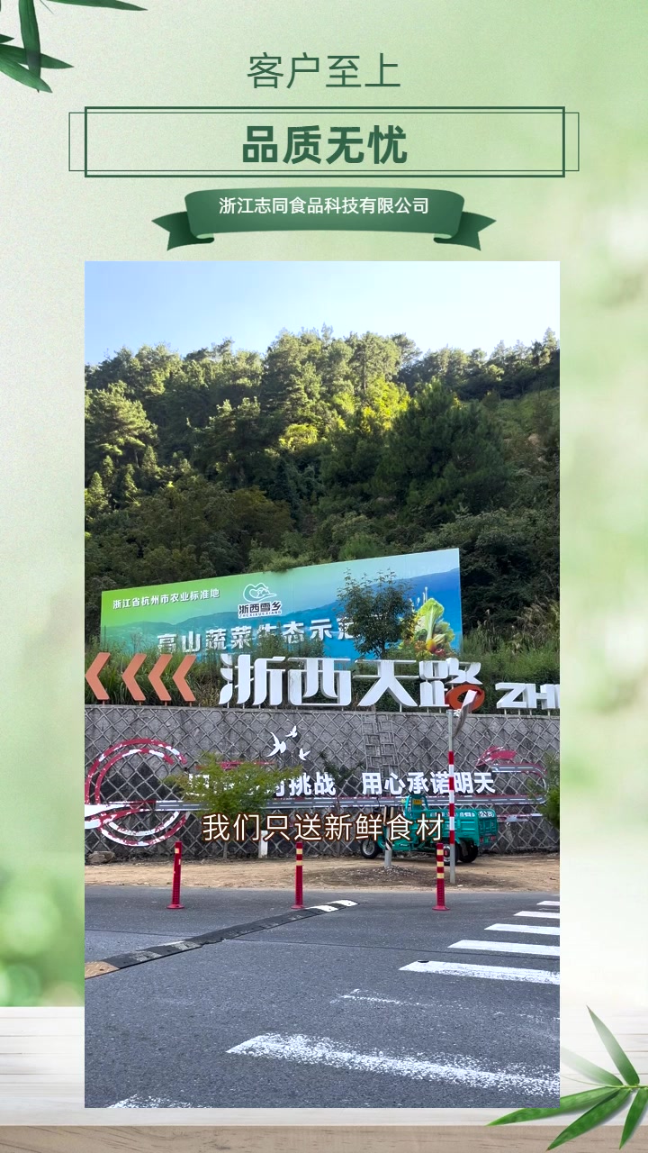 金华“告别黄叶,迎接翠绿蔬菜新风貌!” 速递时鲜,品质生活首