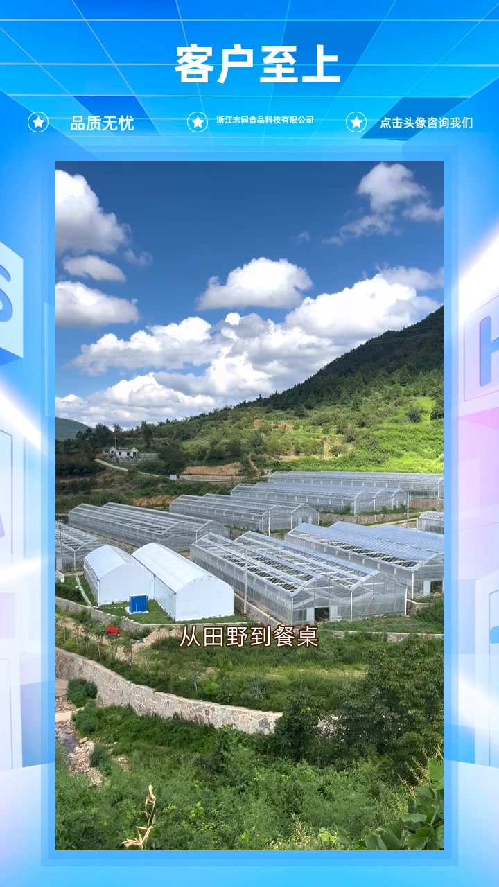 杭州“去皮新技能,秒变厨房达人!” 速达时鲜,品质美味双保障