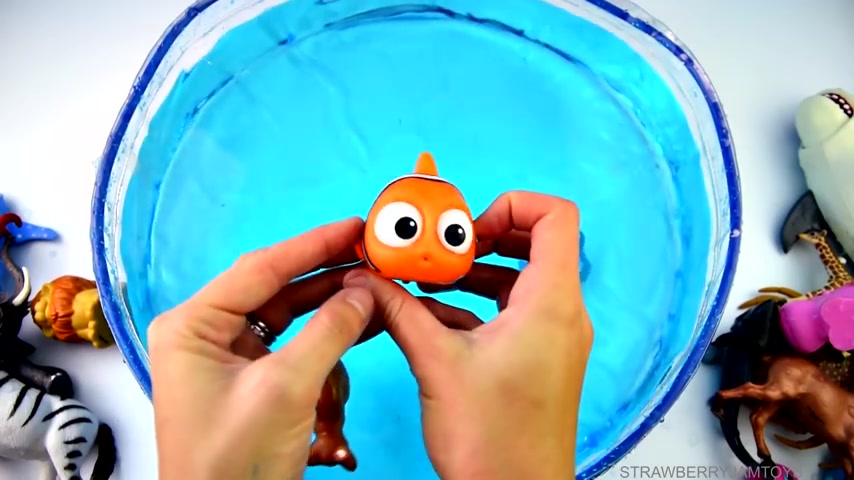 益智认知:认识斑马墨鱼河马小丑鱼等野生动物