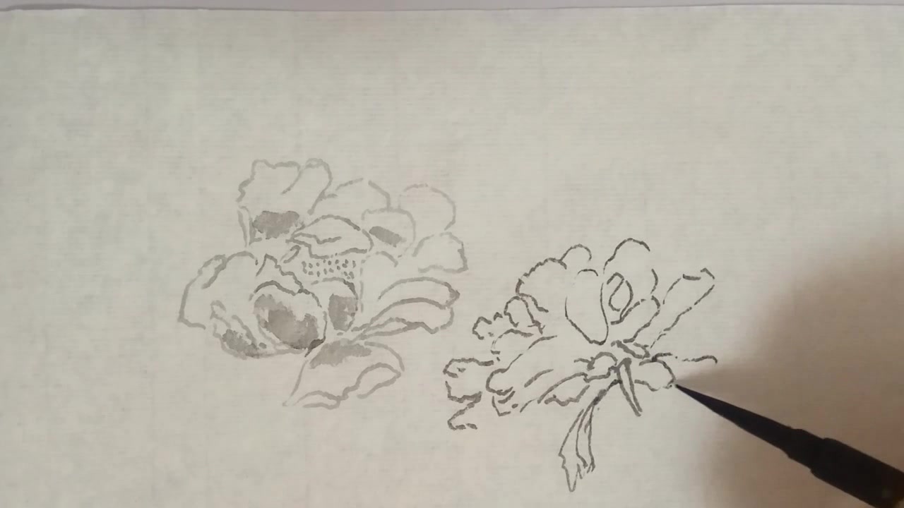 国画:教你白描法画牡丹,中锋用笔