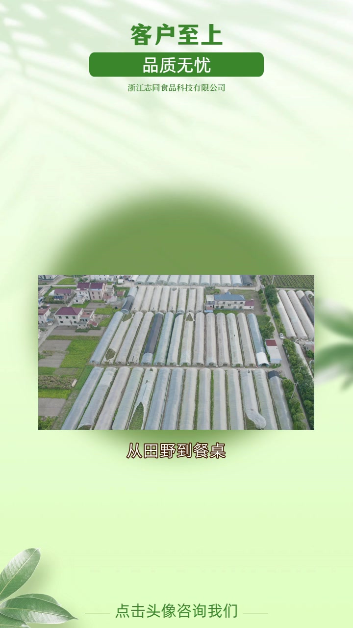丽水“去黄叶秘籍,打造完美绿叶蔬菜!” 时鲜速递,美味无需久