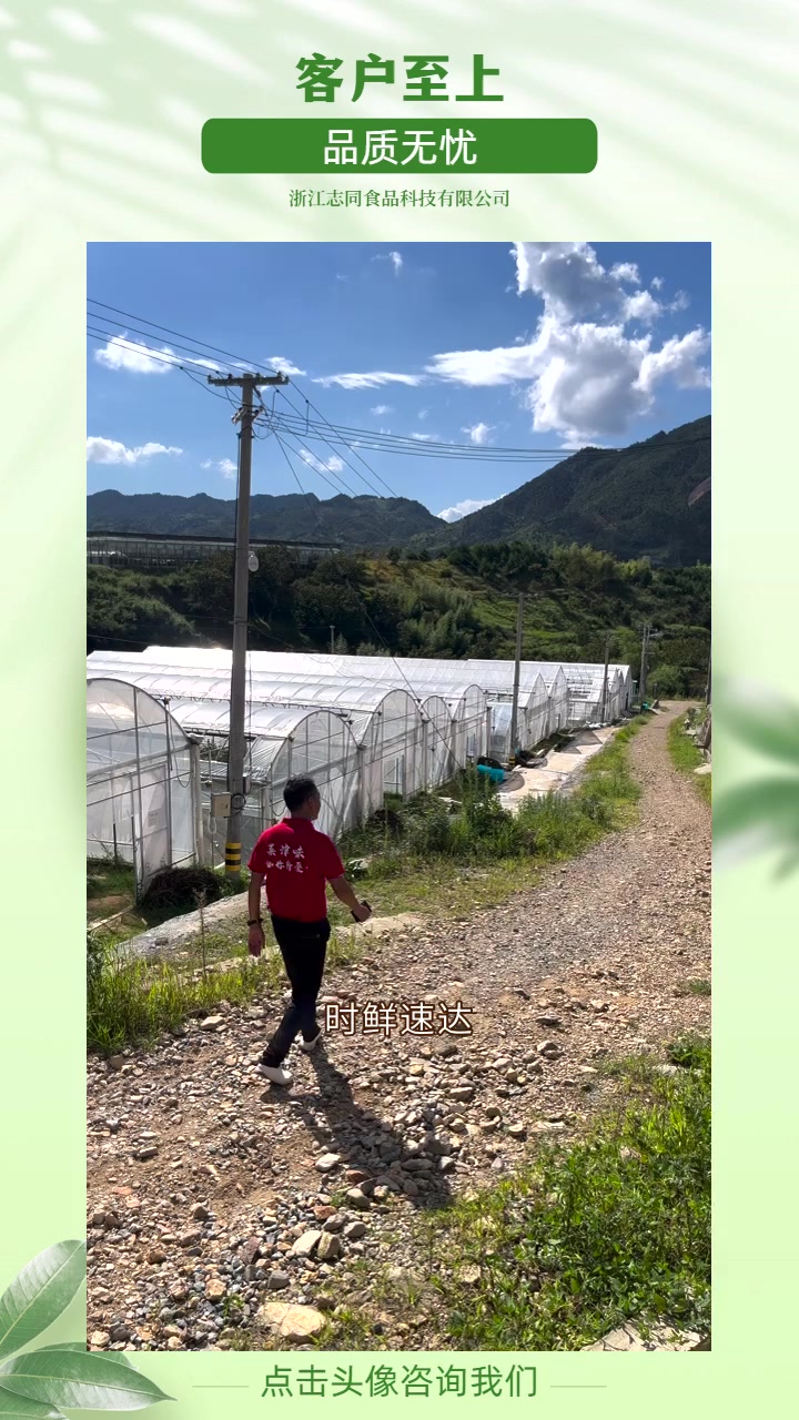 舟山“去黄叶秘籍,打造完美绿叶蔬菜!” 时鲜速递,美味无需久