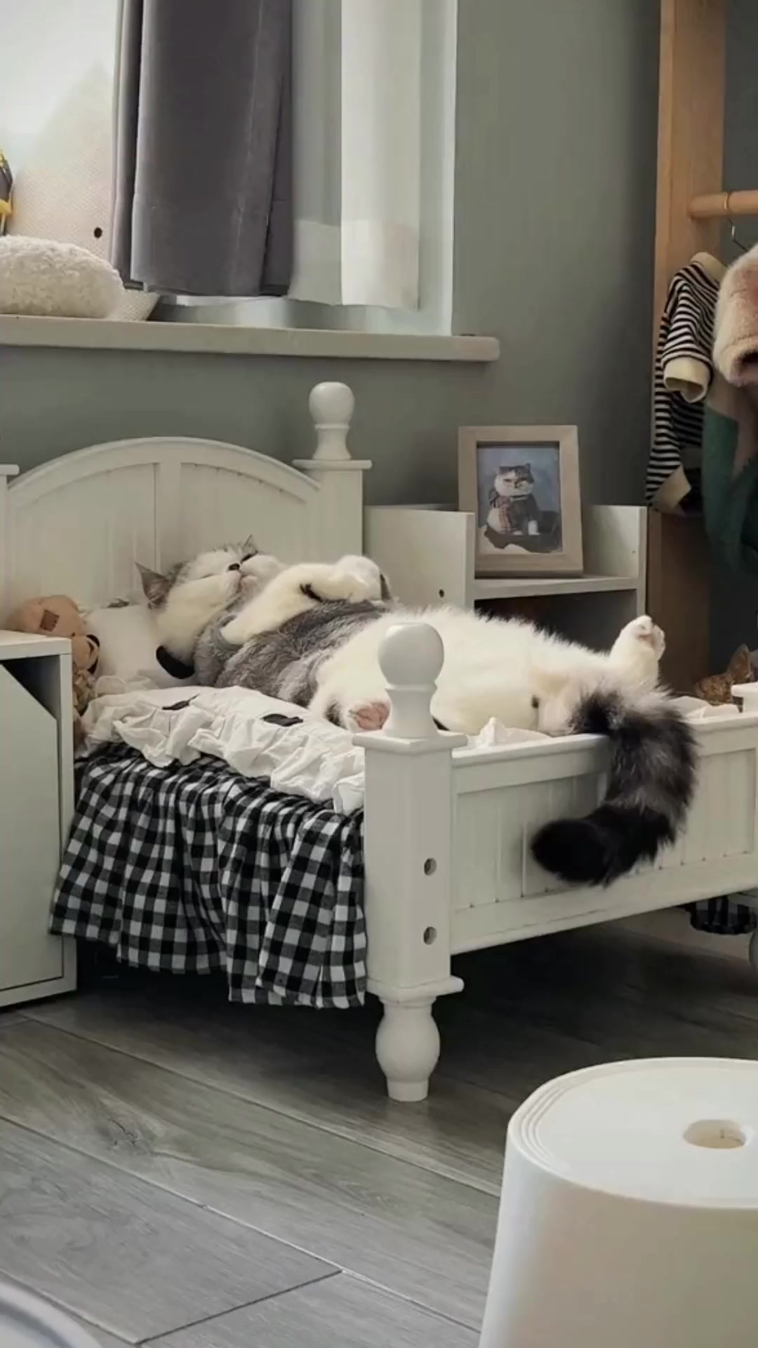 麻辣烫展示柜 合理分放菜品 轻松提升营业额