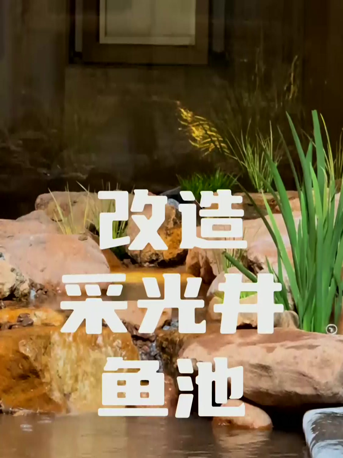改造采光井鱼池!