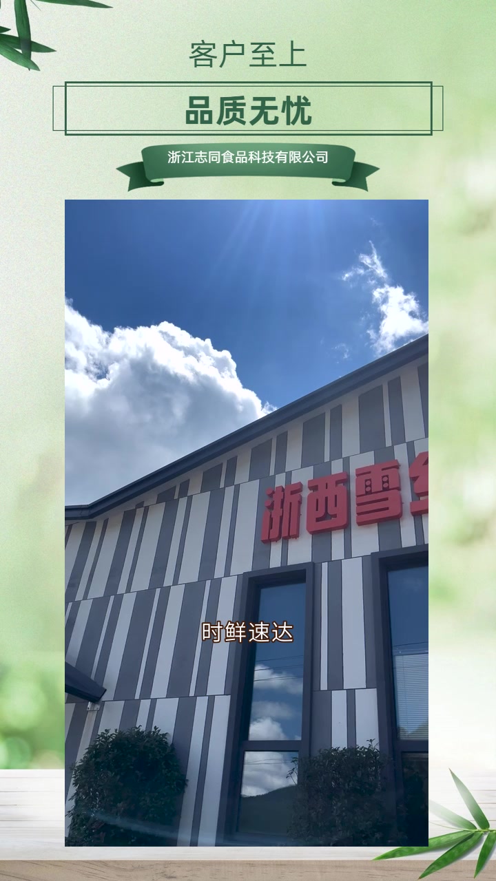 温州“告别黄叶,迎接翠绿蔬菜新风貌!” 速递时鲜,品质生活首