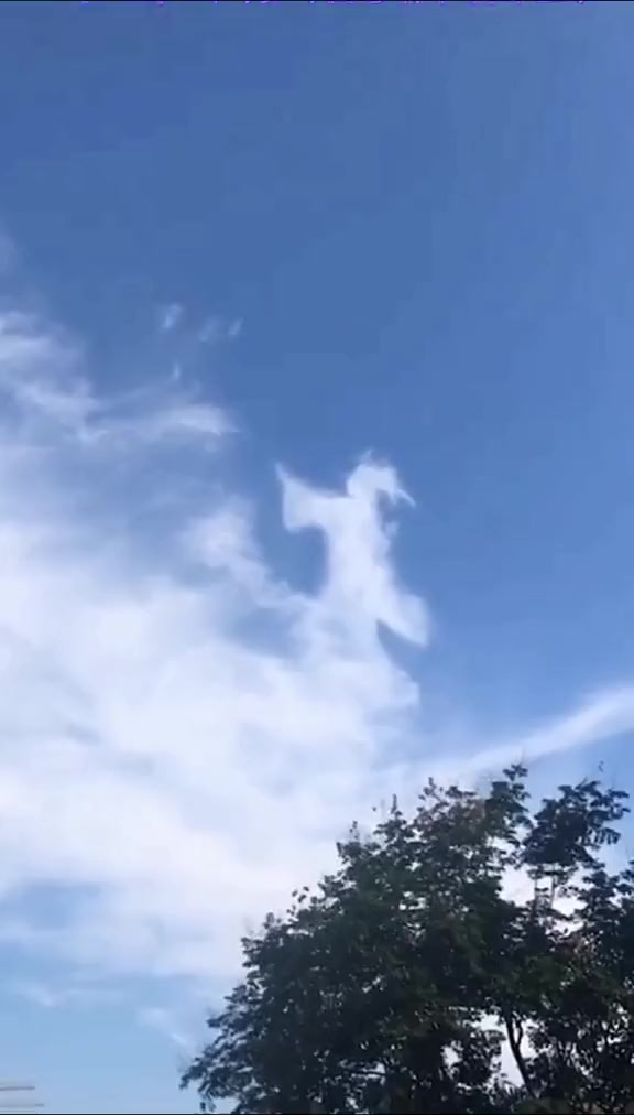 天上鹊桥来相会,地上鹊桥促姻缘,细说一段真实的"鹊桥"故事