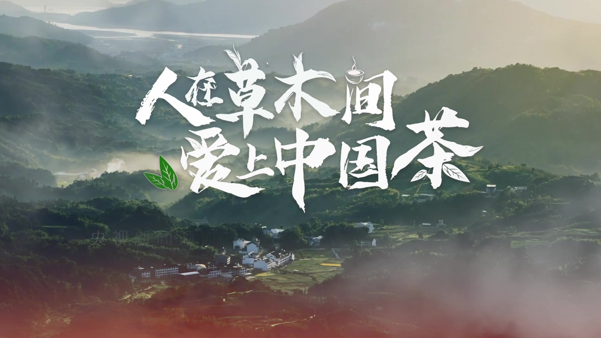 《人在草木间》今起推出 与你共品"最美中国茶"