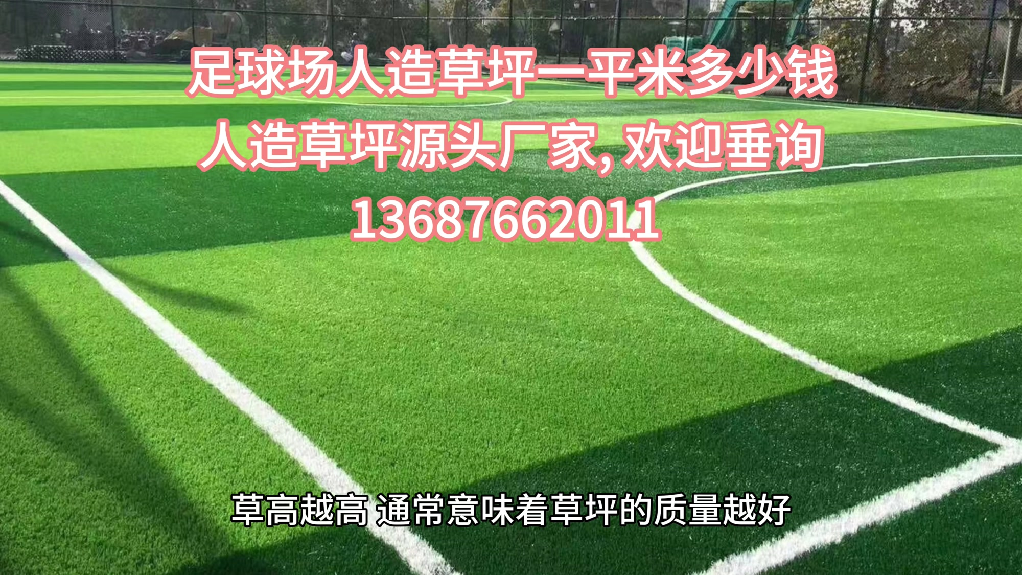 足球场的真草坪多少钱一平米