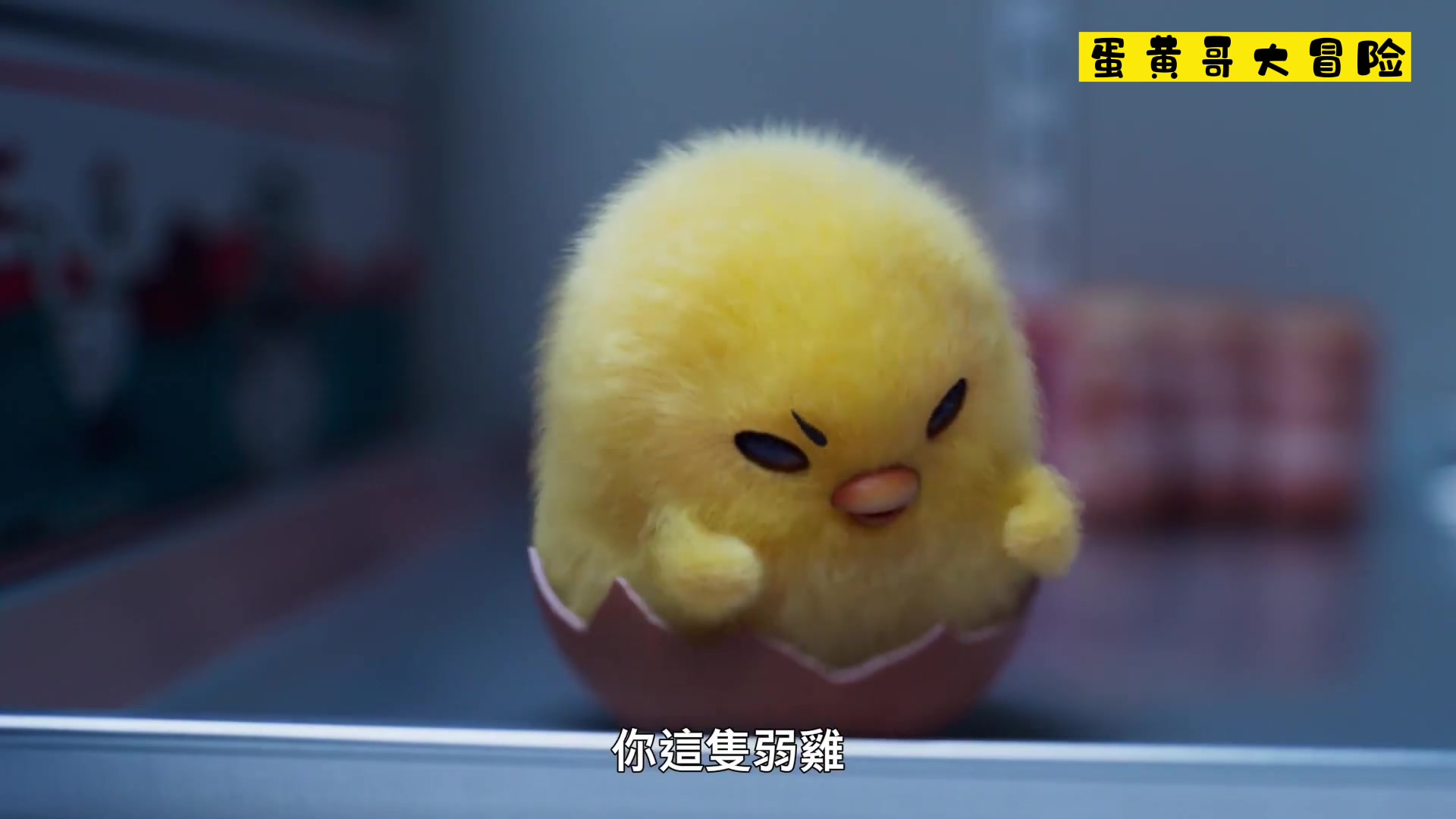 netflix真人动画《蛋黄哥大冒险》发布正式预告 也太萌了吧